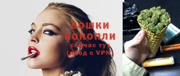 винт Гусь-Хрустальный