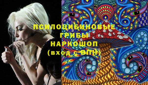 шишки Балабаново