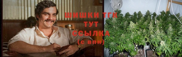 шишки Балабаново