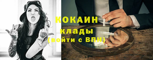 шишки Балабаново
